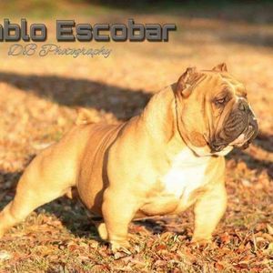 Meet your Posher, Brad